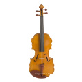 Jujube Parts Laciness Violon